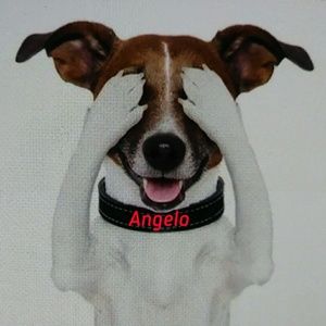 Meet your Posher, Angelo